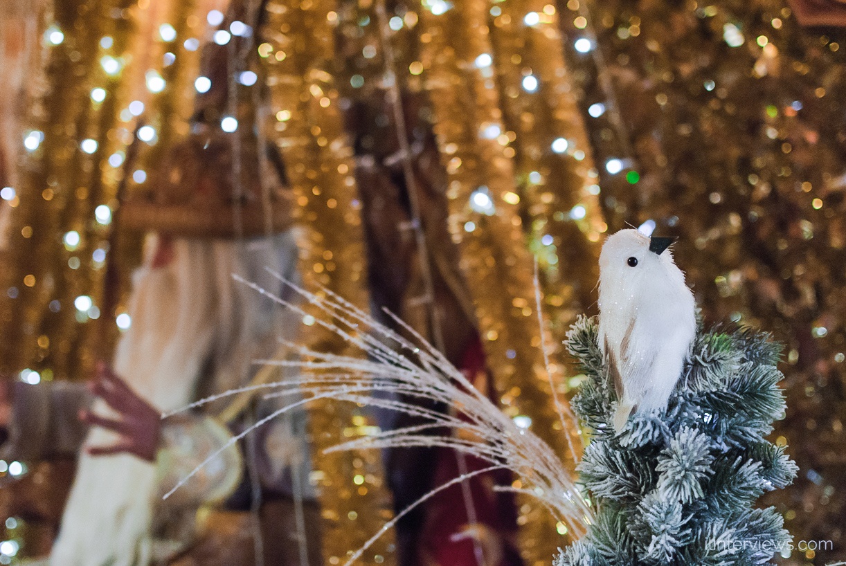 Дед Мороз интервью 