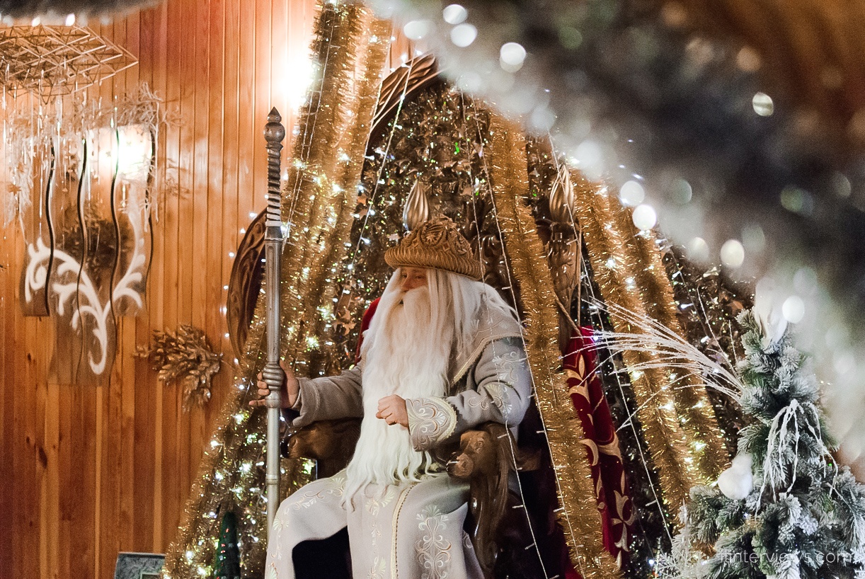 Дед морозов